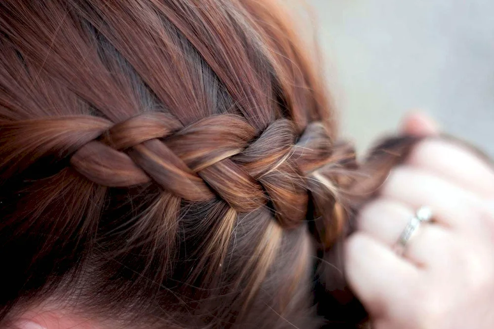 Fish tail dragon braid