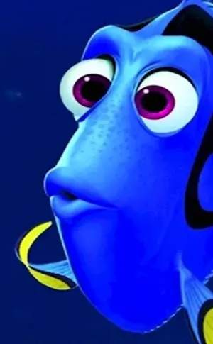 Dory fish