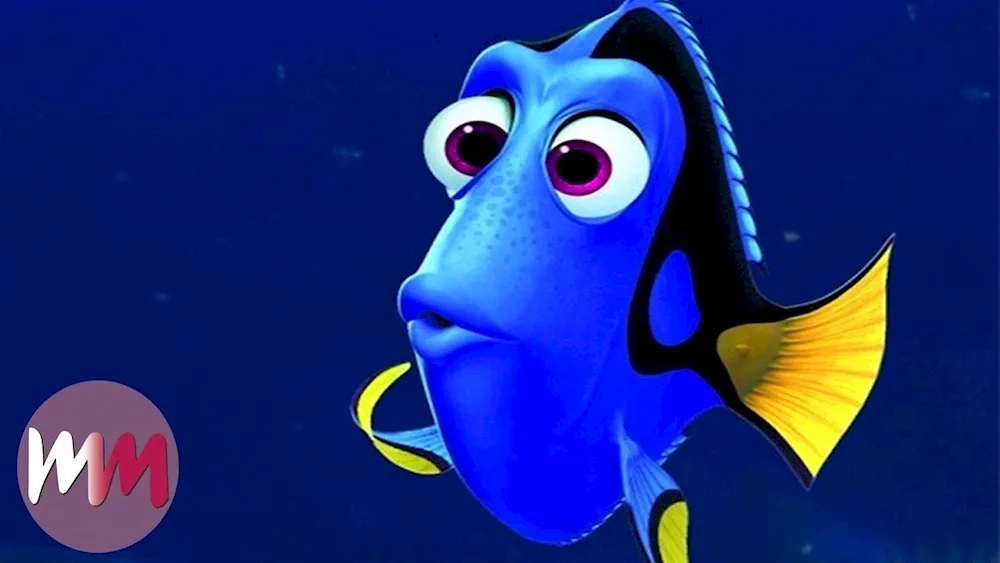 Dory fish