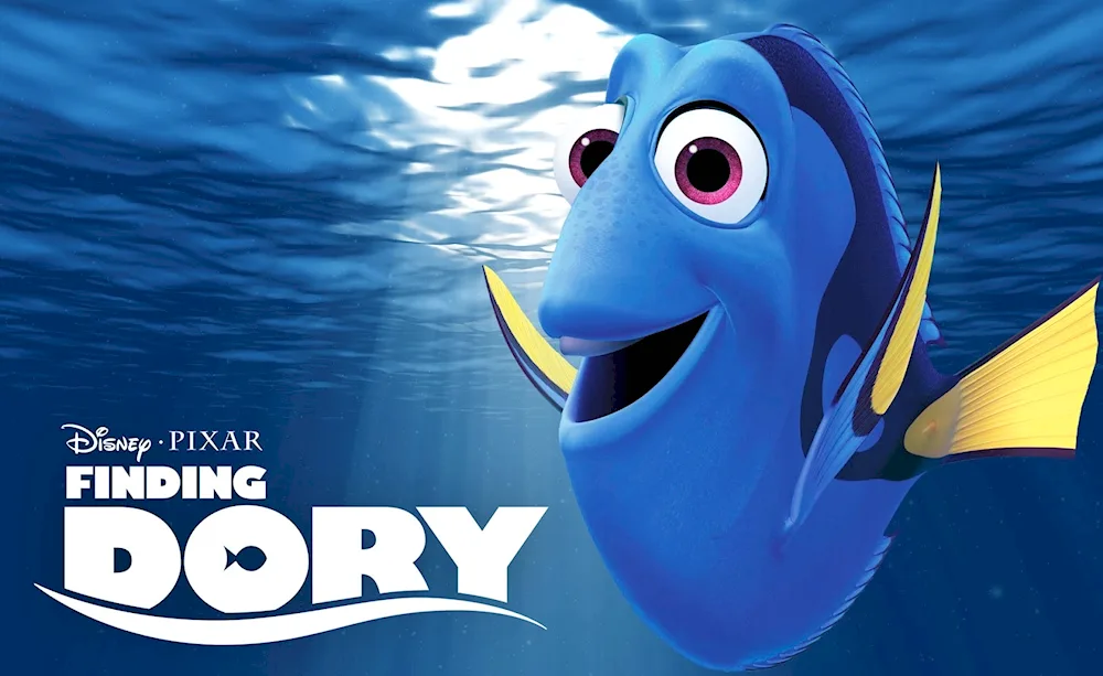 Dory fish