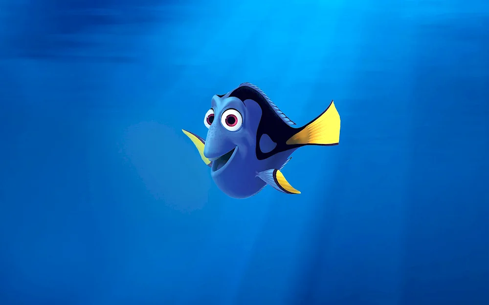 Dory