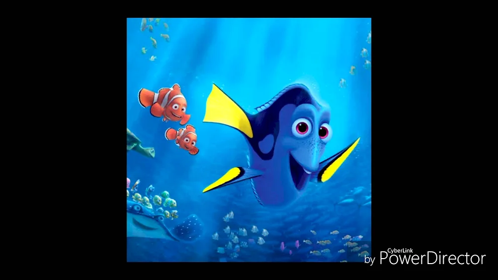 Dory fish and Nemo