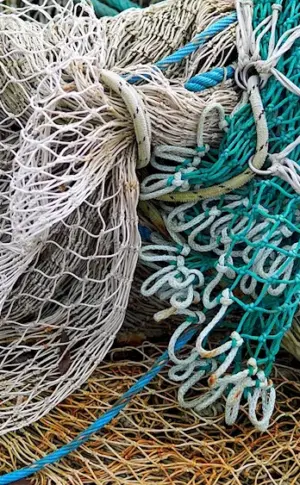 Fishing net