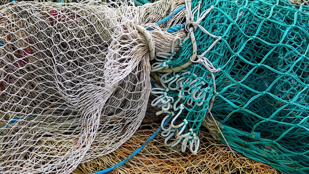 Fishing net