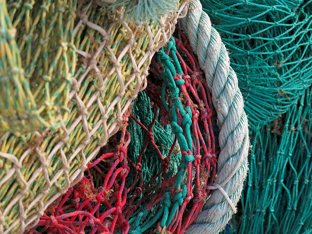 Fish Free Fishing Net