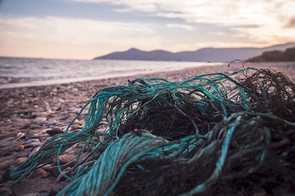 Fishing Net