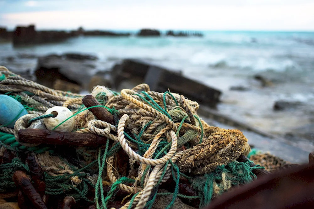 Fishing Net