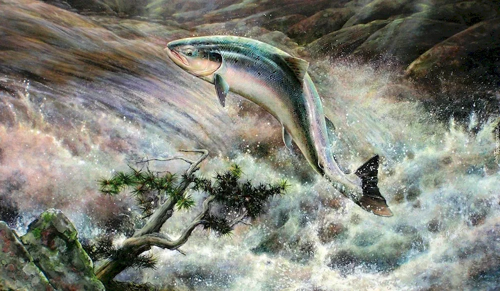 Japanese koi carp koi paintings by Kadantsev