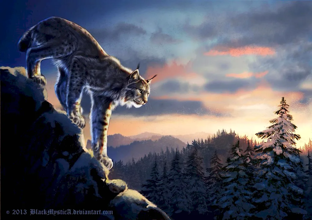 Lynx art