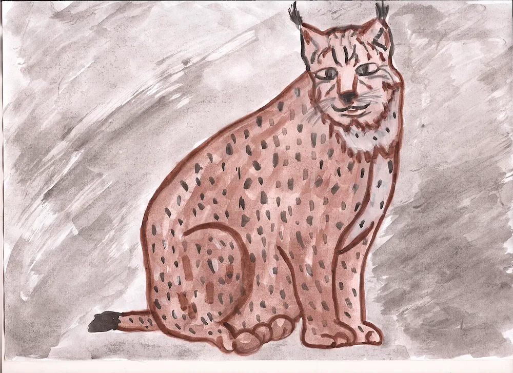 Rynx drawing