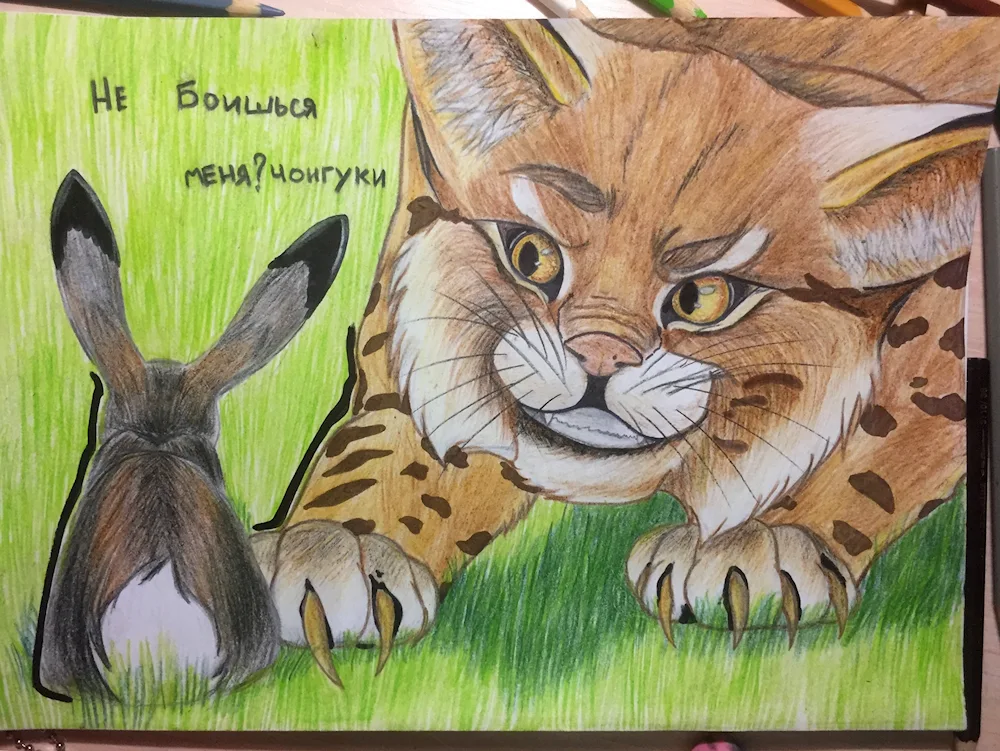 Rynx drawing
