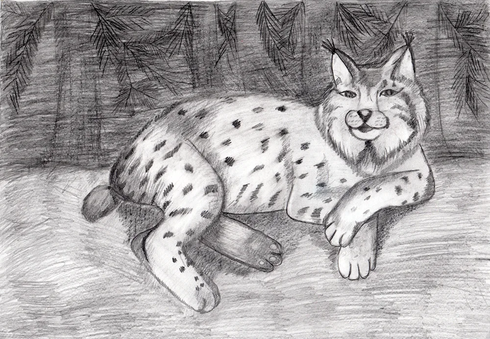 Rynx drawing