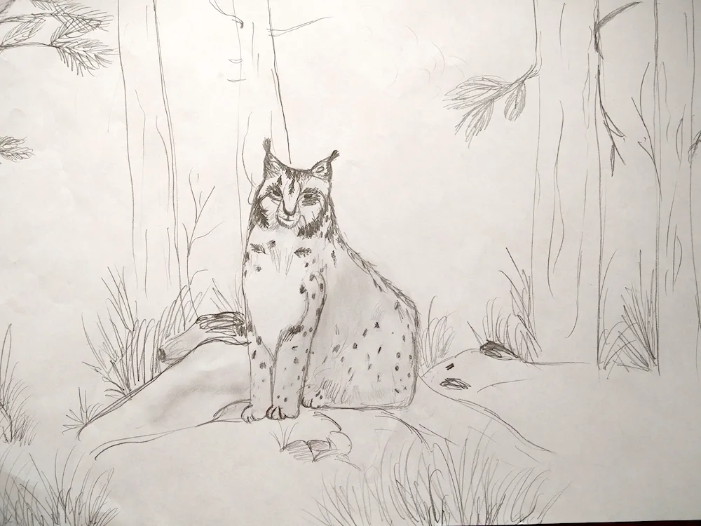 Rynx pencil drawing for kids