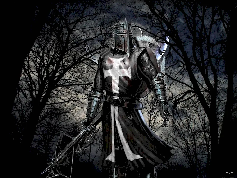 Knights Paladins Templar Templar Templar Templar