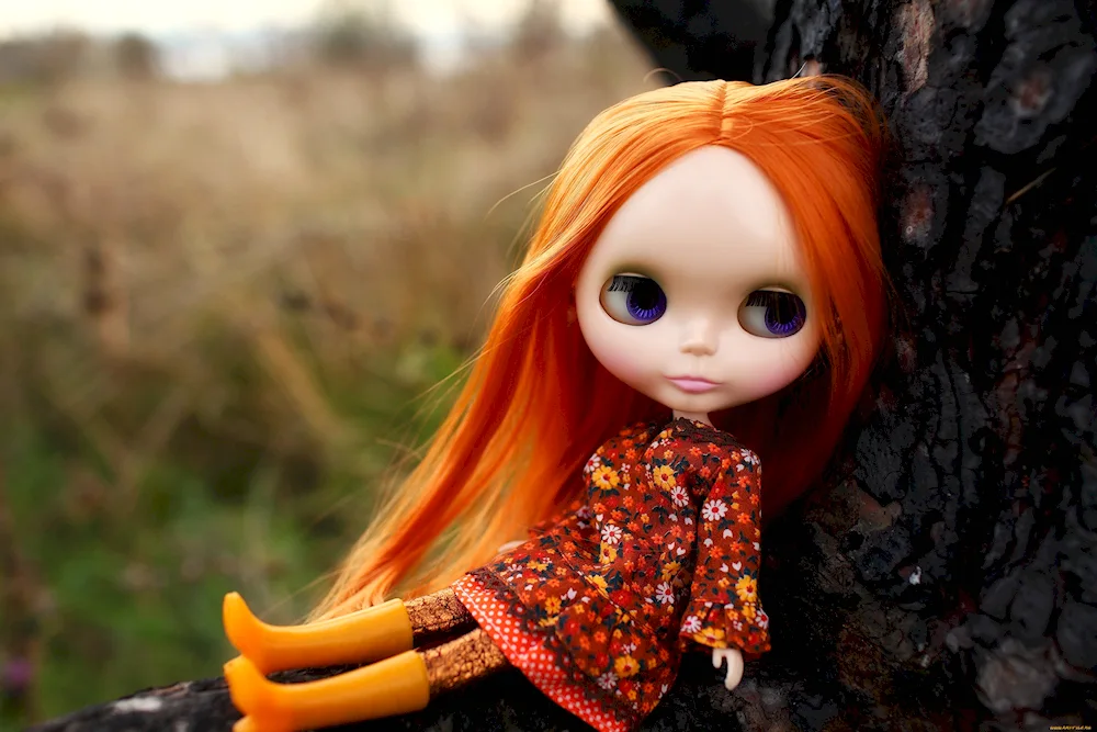 Ginger dolls