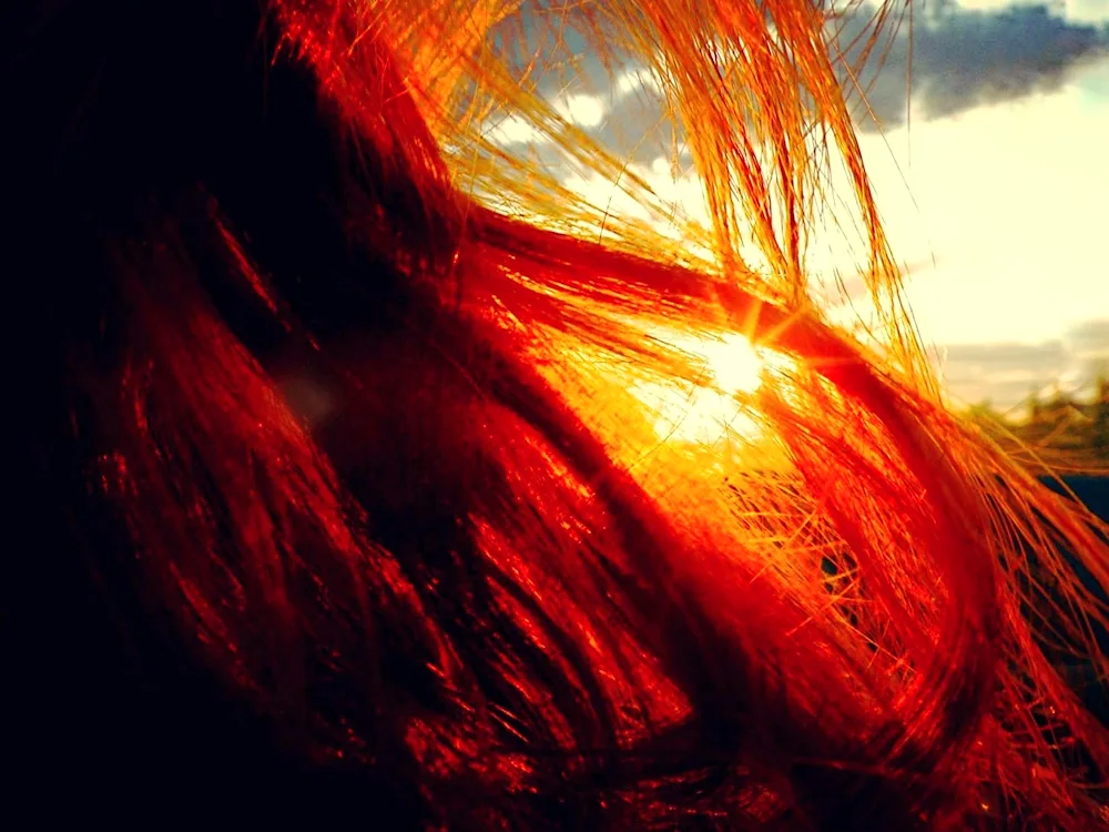 Redhead from back