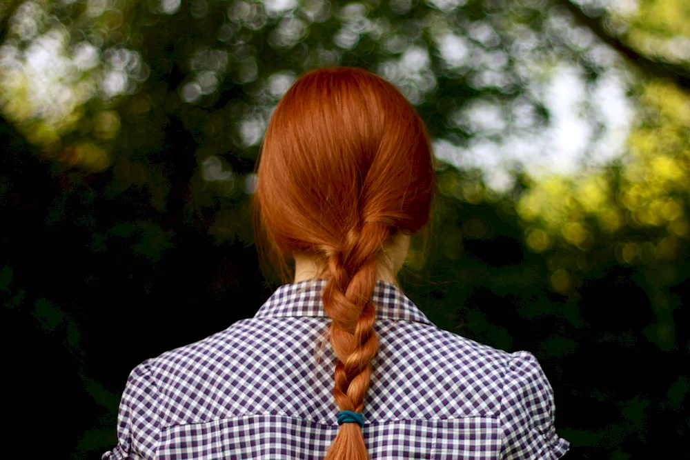 Hairstyles with braids