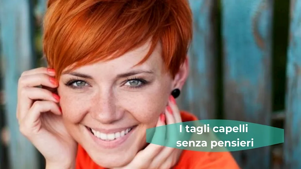 Red Pixie bob