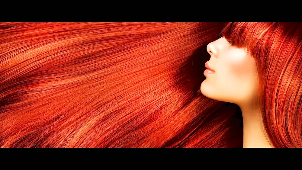 Luxurious red hair. hair