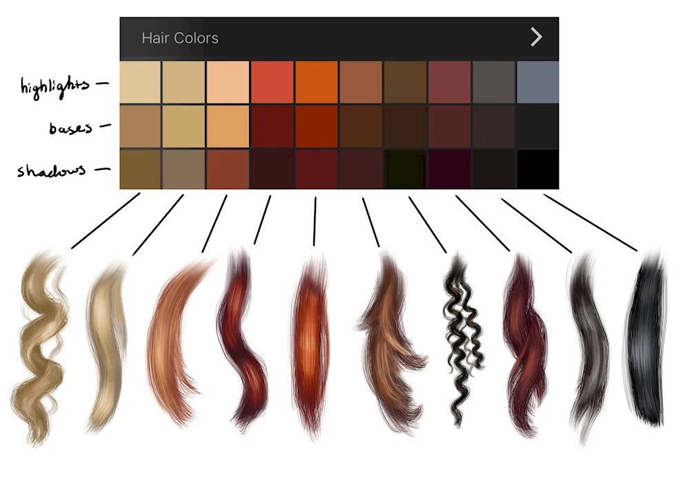 Lisap Milano Hair Dye Palette