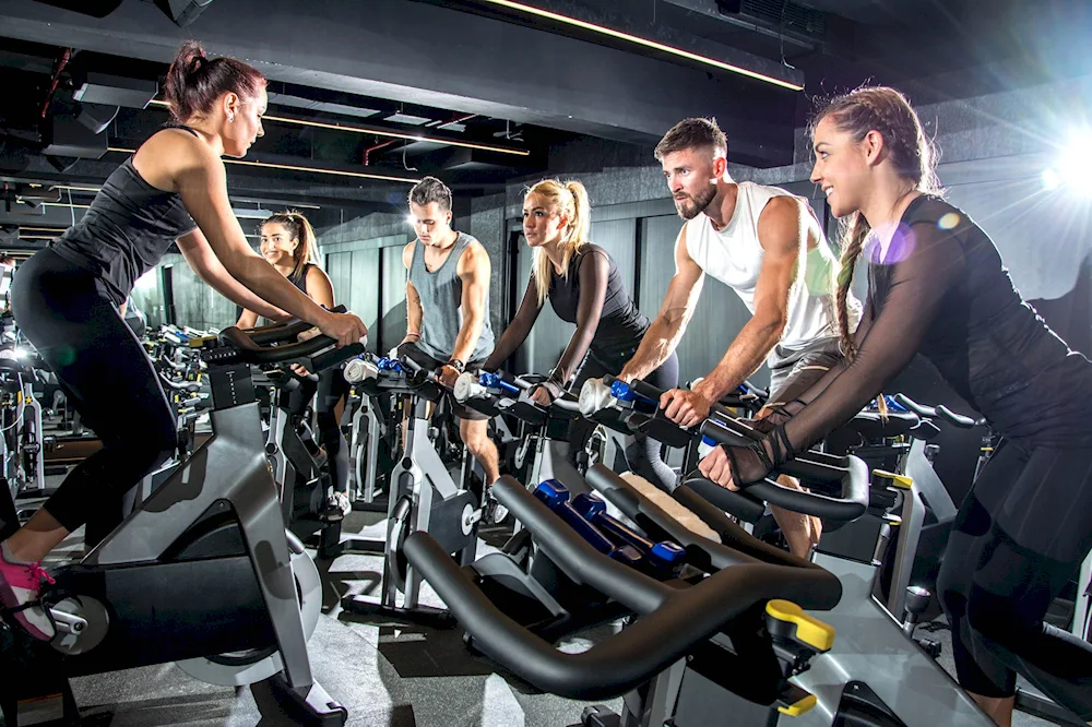 Fitness