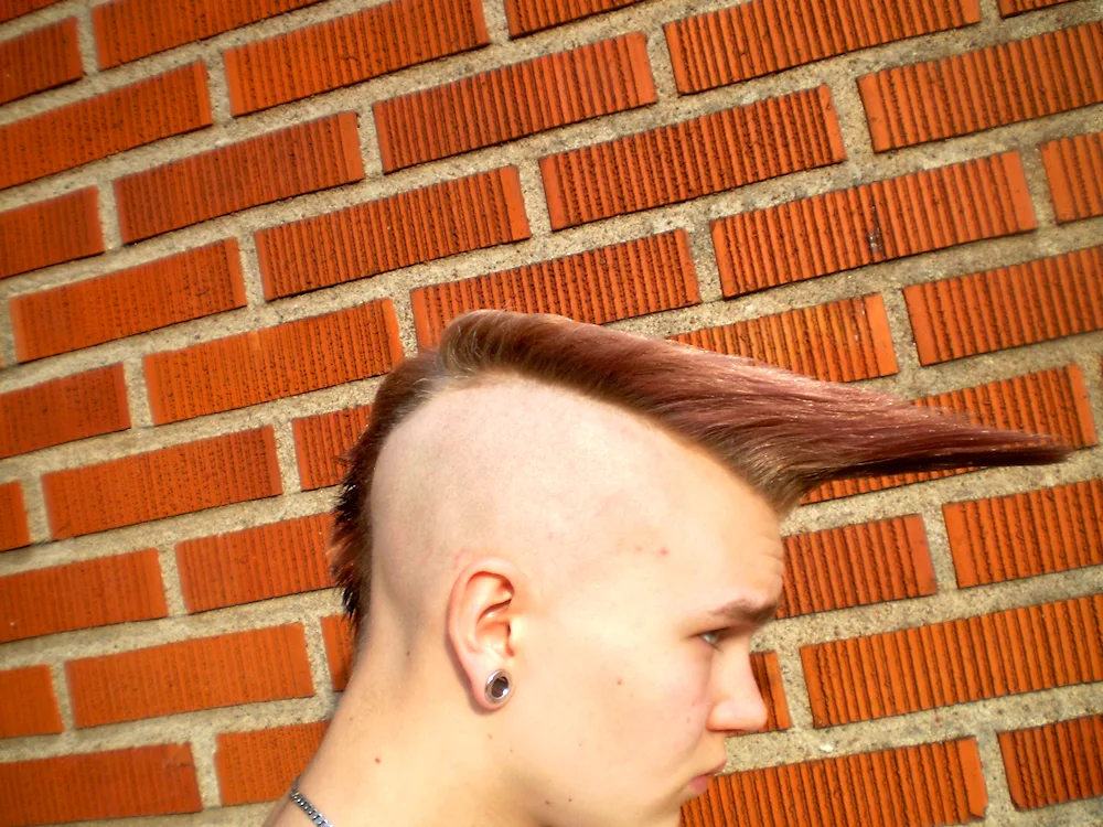 Sycobilly flattop