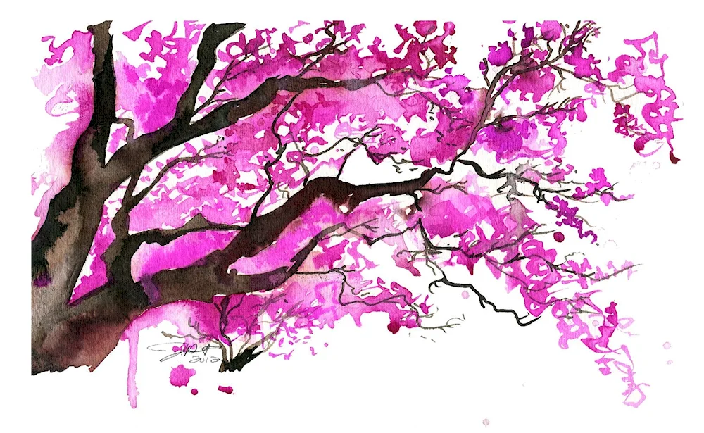 Sakura drawing