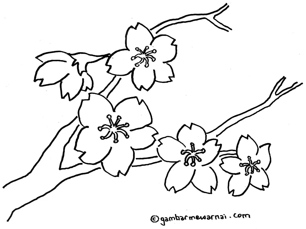 Sakura tree with cotton swabs