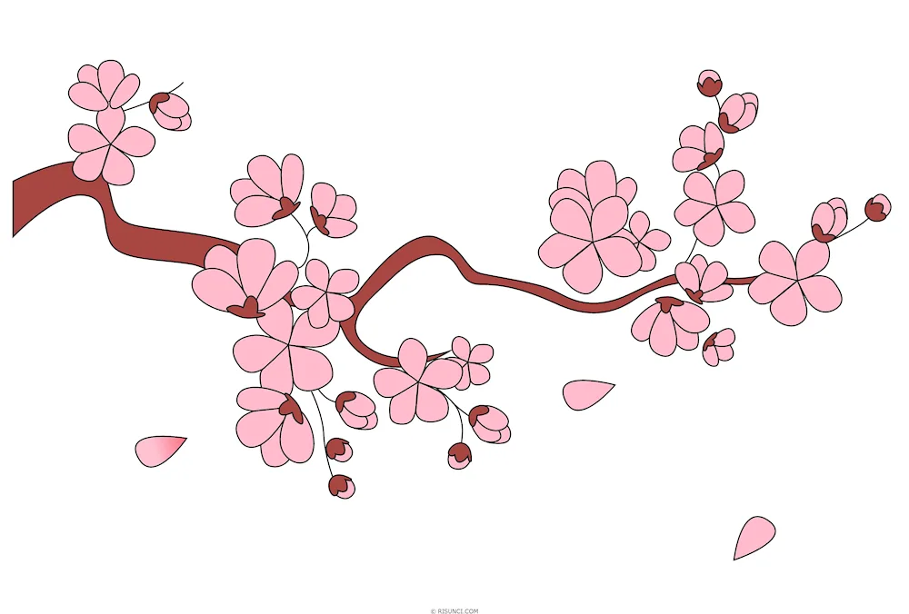Sakura s1221m