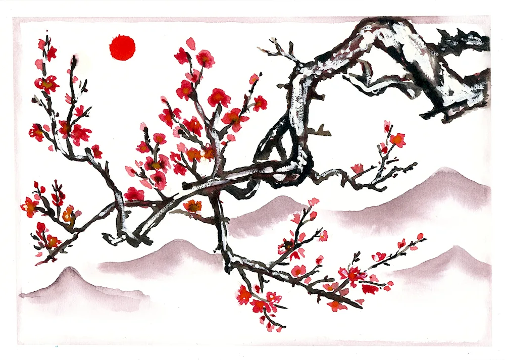 Sakura drawing