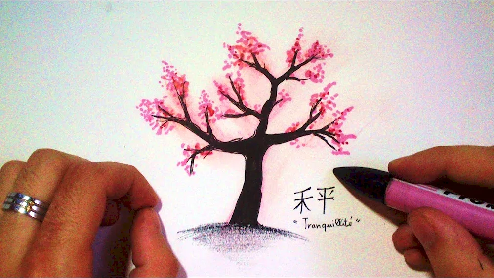 Sakura pencil drawing