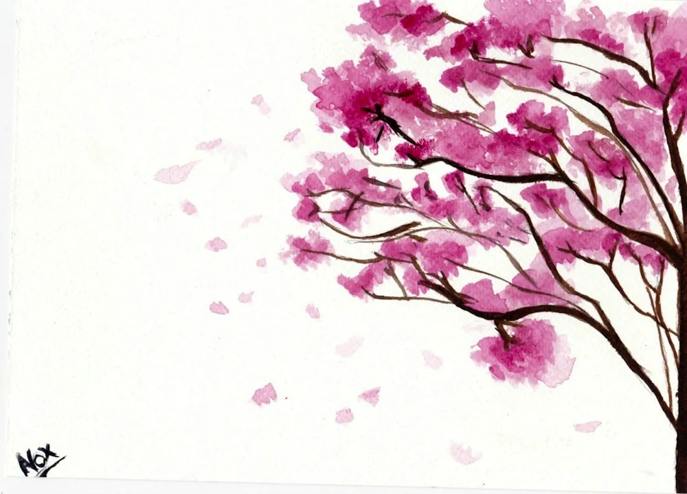 Sakura drawing