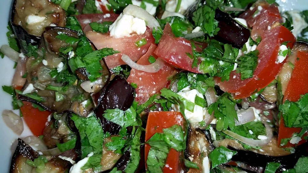 Eggplant salad with tomatoes and garlic and coriander