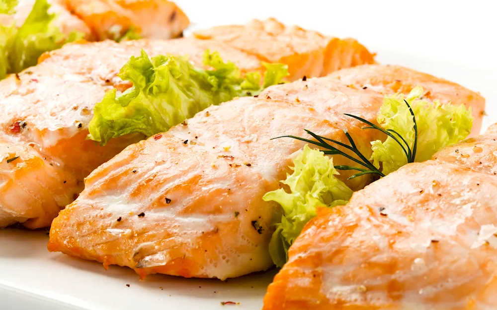 Salmon fish