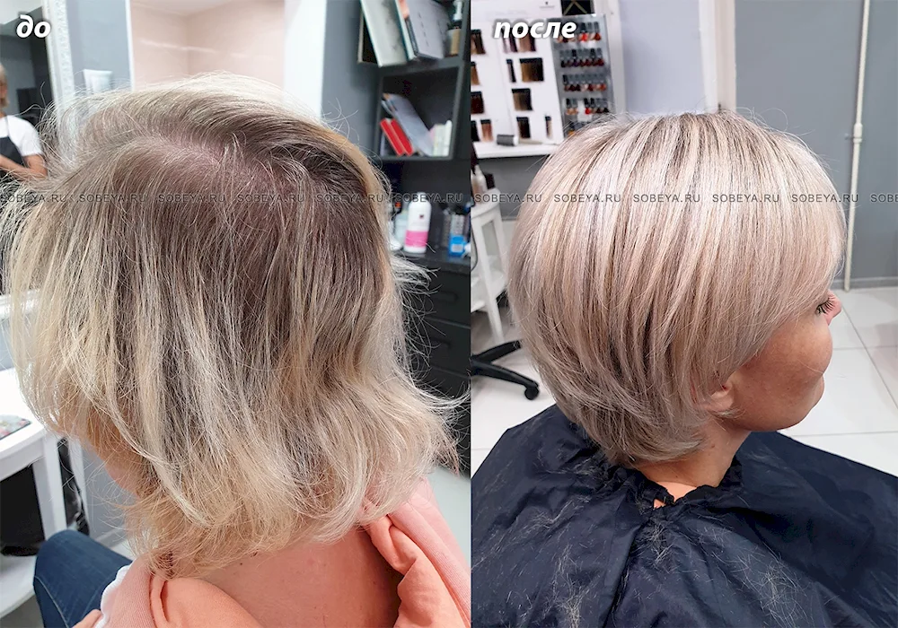 Velour beauty salon
