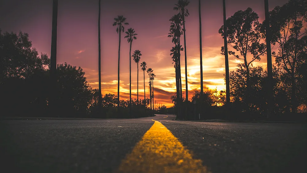 Sunset Road Los Angeles