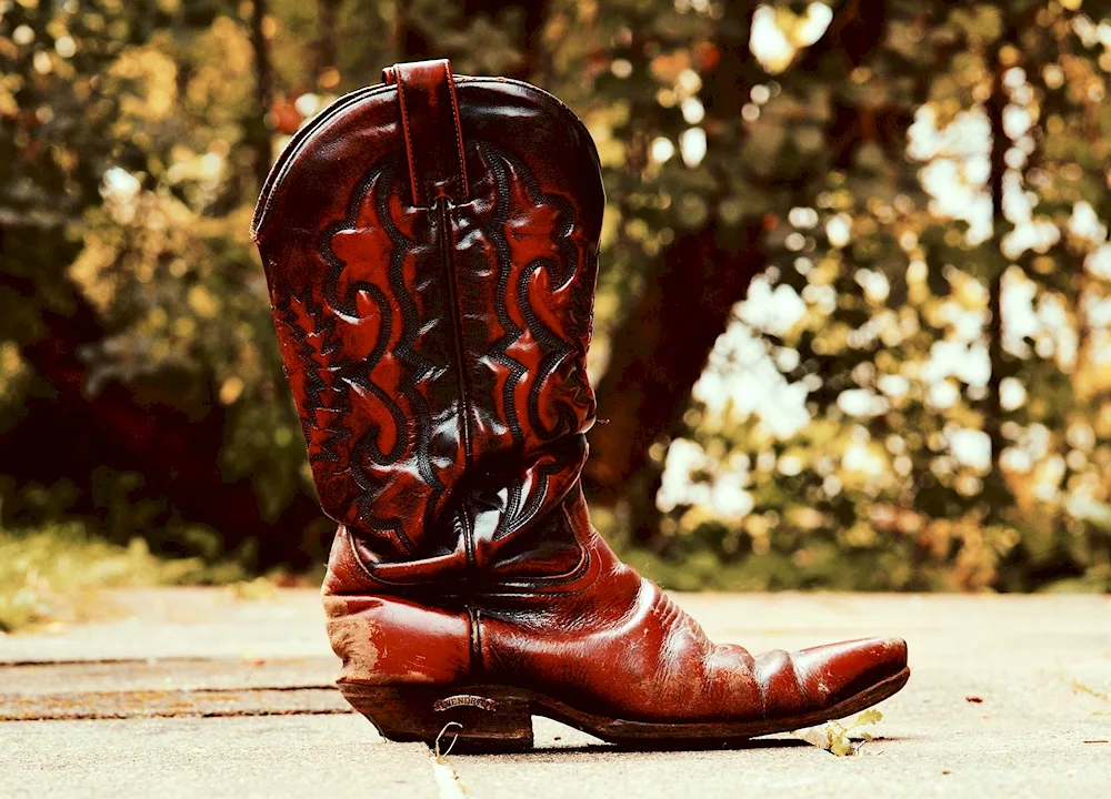 Lari Mahon cowboy boots