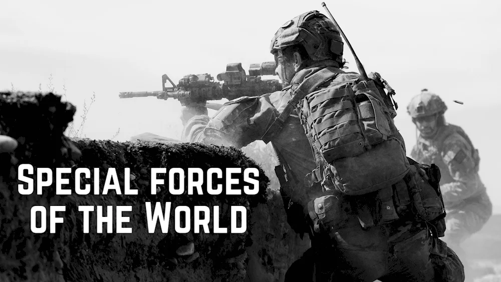 Special Forces poster