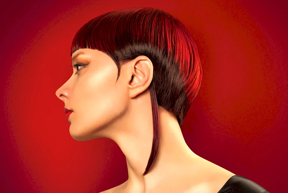 Vidal Sassoon