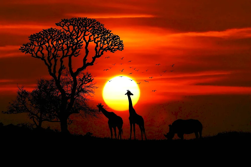 Kenya Savannah