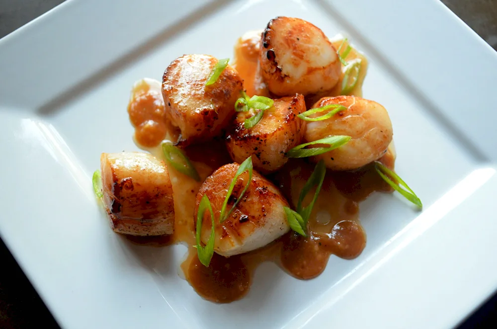 Scallops scallops