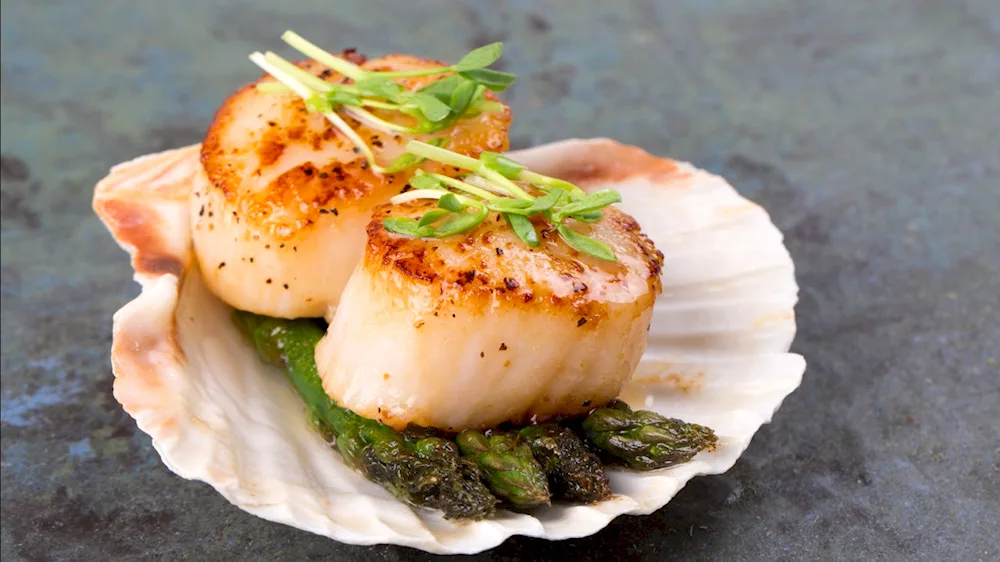 Scallops scallops