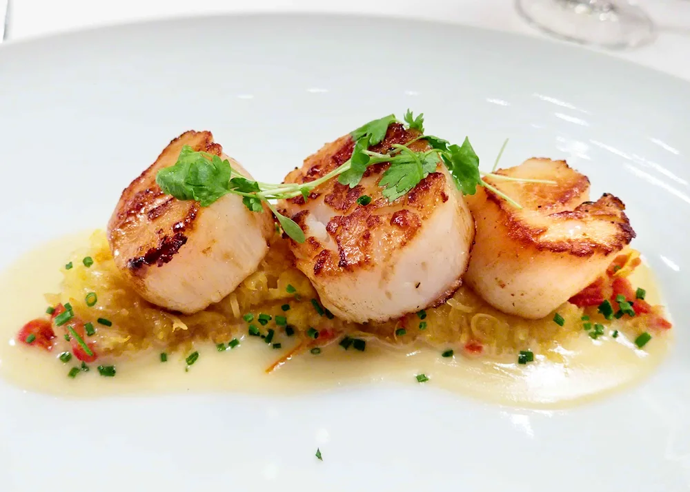 Scallops scallops