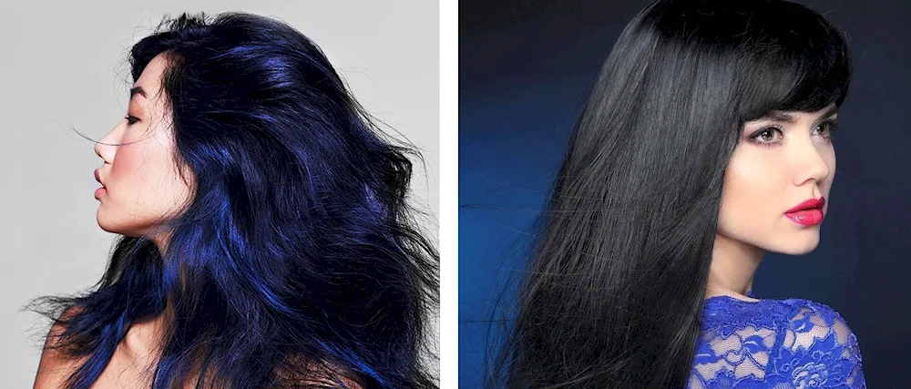 Raven Wing Hair Colour