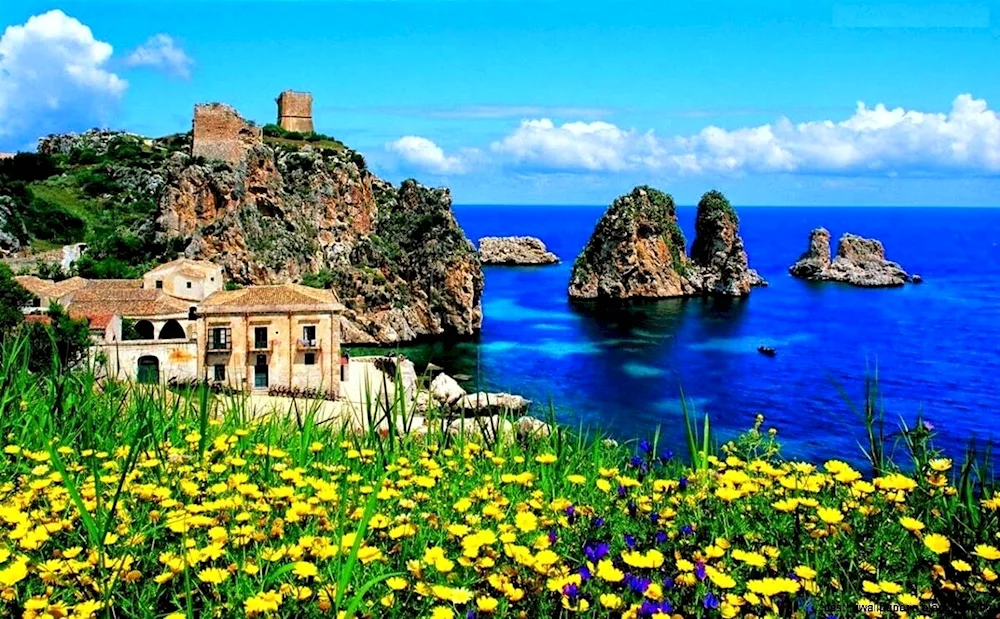Bob Peyman Rotunda Italian landscape