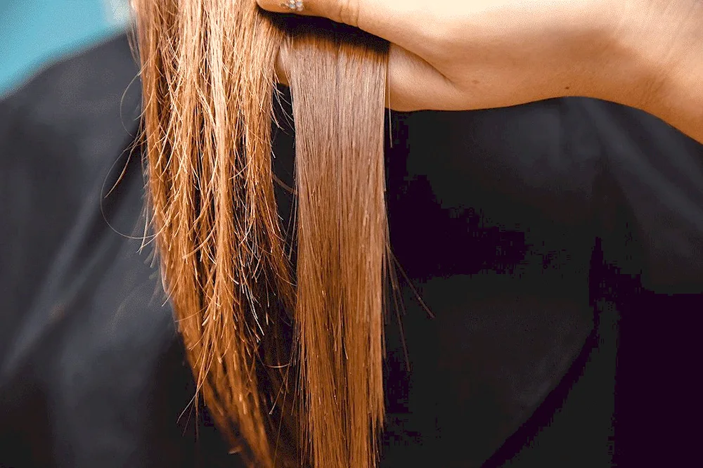 Brown hair