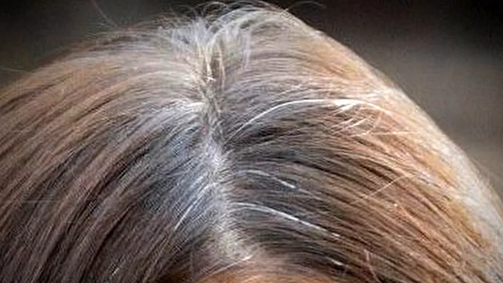 Long grey hair