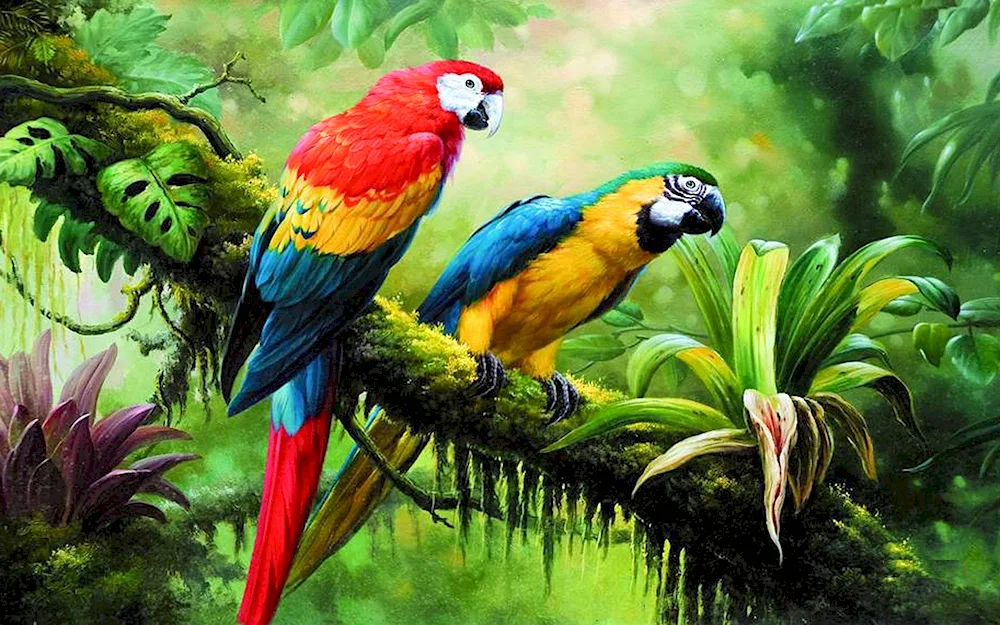 Birds art