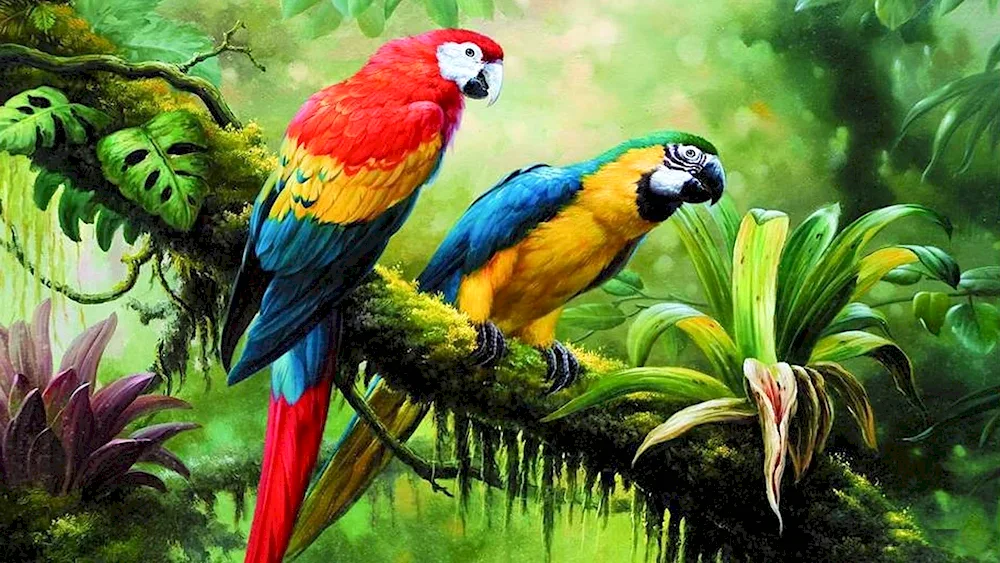 Tropical birds