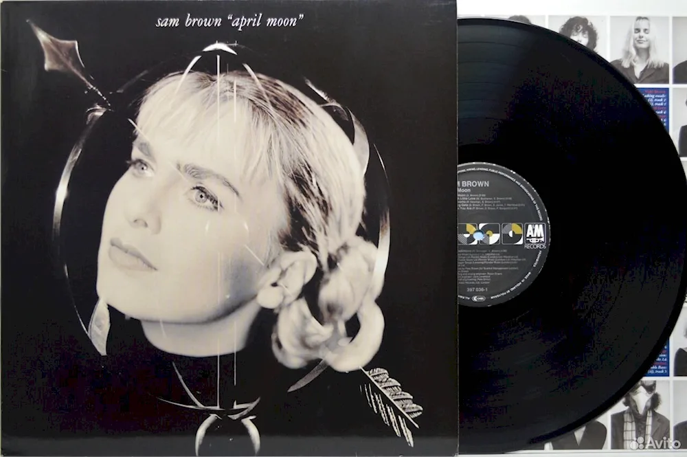 Sam Brown singer